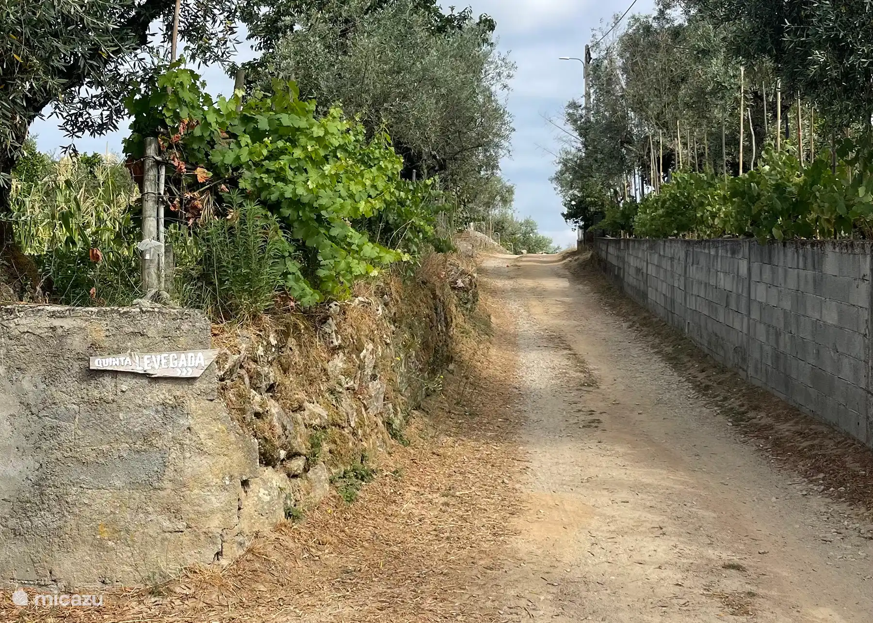 De zandweg naar het huis toe.