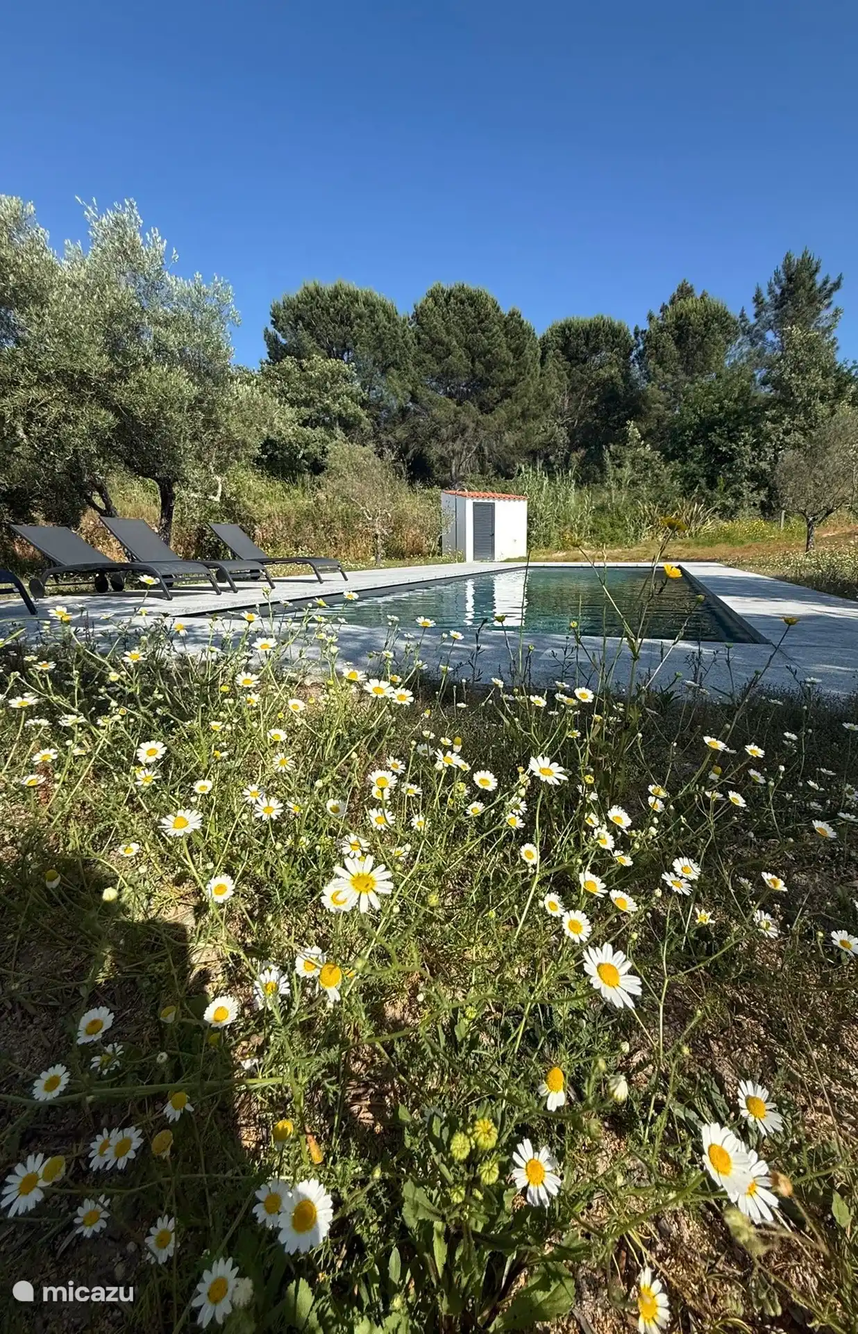 Privacidad, Portugal, Coímbra, Vila do Mato, casa vacacional Quinta Levegada