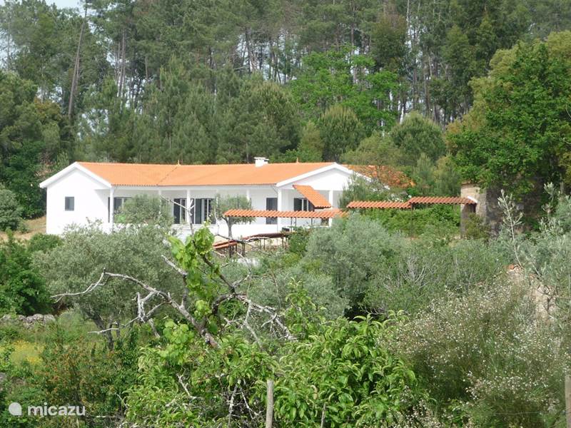 Holiday home in Portugal, Beiras, Vila do Mato Holiday house Quinta Levegada