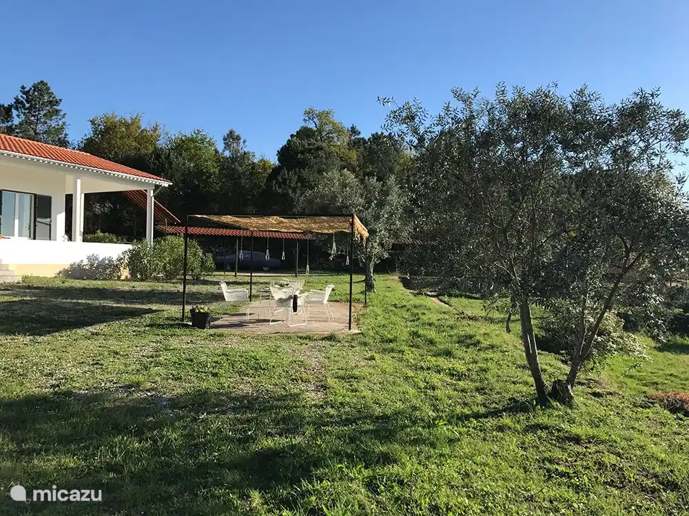 Unter dem Blätterdach sitzt man im Schatten und doch mitten in der Natur mit all den Vogelstimmen um sich herum. 