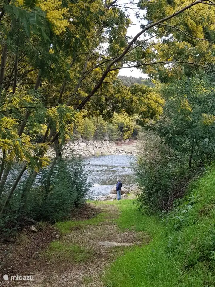 Der Fluss Mondego im März