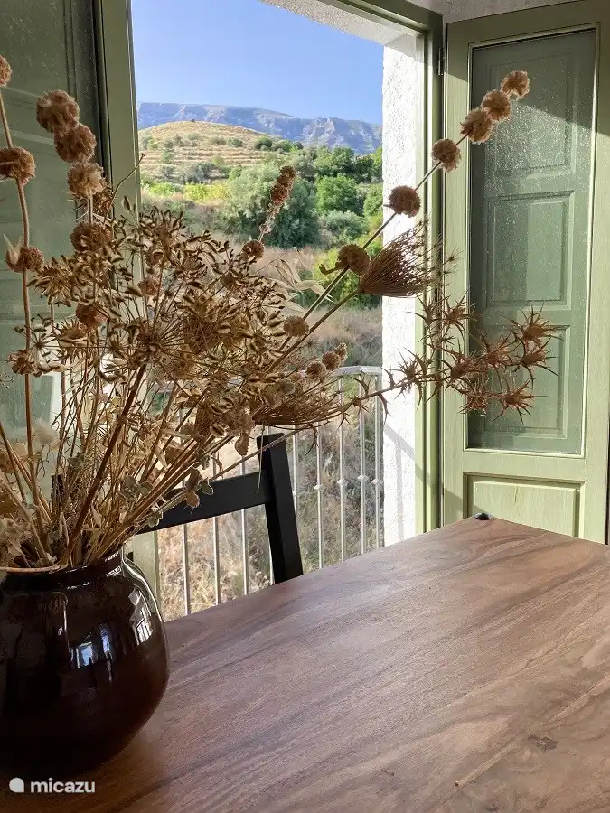 Blick aus dem Wohnzimmer.