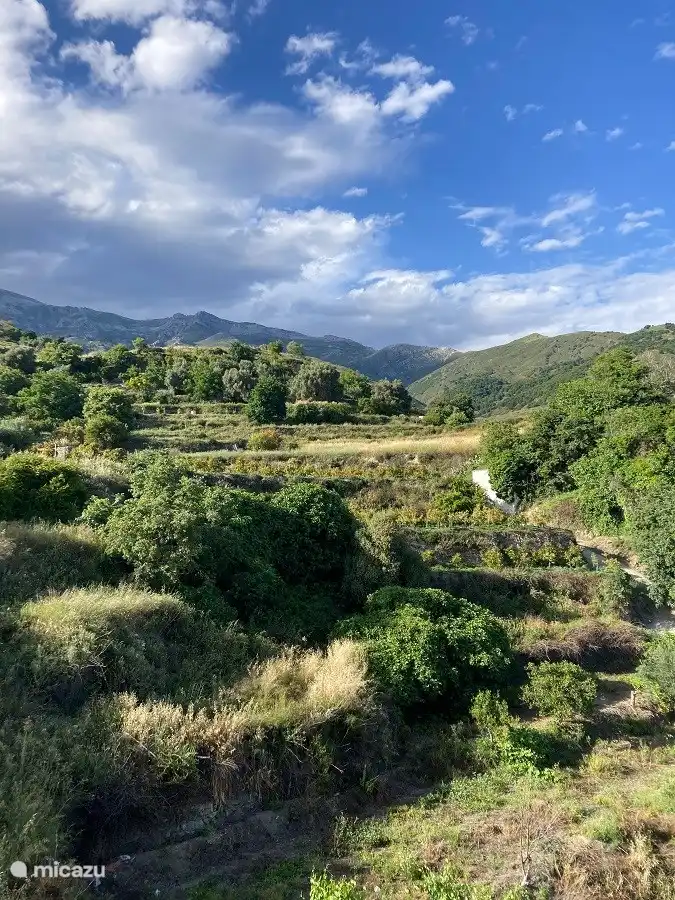 Blick auf das Naturschutzgebiet von der Dachterrasse aus.