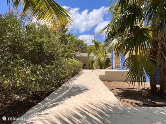 appartement huren in Curaçao, Curacao-Midden, Piscadera – Andira Apartments, Zwembad, Centraal Straatje naar de appartementen en het schaduwterras