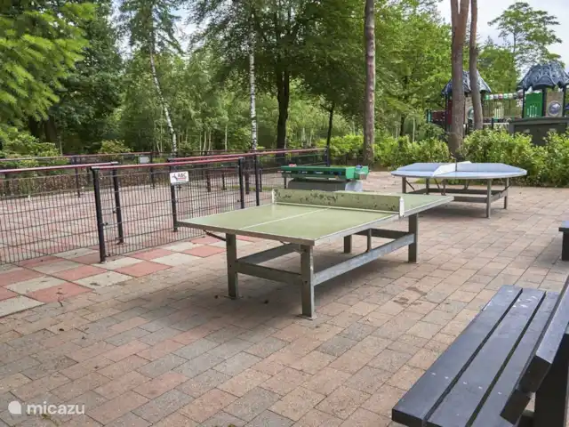 Forest Family Home - 5 sterren park huren in Nederland, Gelderland, Beekbergen - chalet Er is veel te doen voor kinderen en ouders