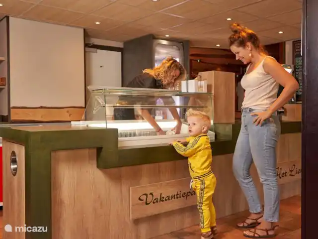 Forest Family Home - 5 sterren park huren in Nederland, Gelderland, Beekbergen - chalet De snackbar