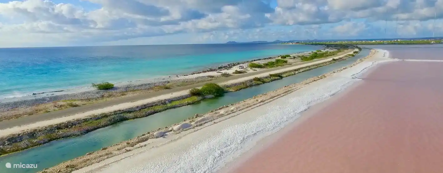 Schöne Farben von Bonaire