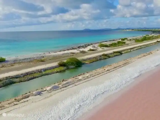 Location de Vacances Bonaire, Bonaire, Sabadeco, villa - Reef Villas Bonaire Soleil, face à l'océan Les belles couleurs de Bonaire