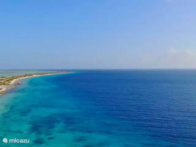 Location de Vacances Bonaire, Bonaire, Sabadeco, villa - Reef Villas Bonaire Soleil, face à l'océan Mer des Caraïbes