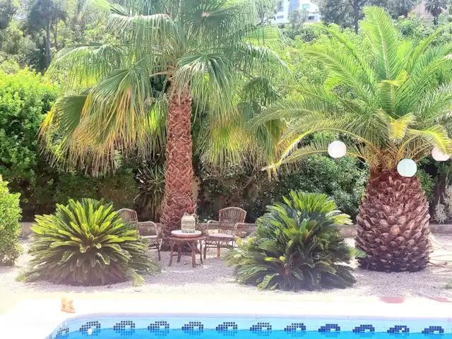 Casa Karolida ***Top locatie!!*** huren in Spanje, Costa Blanca, Jávea - villa