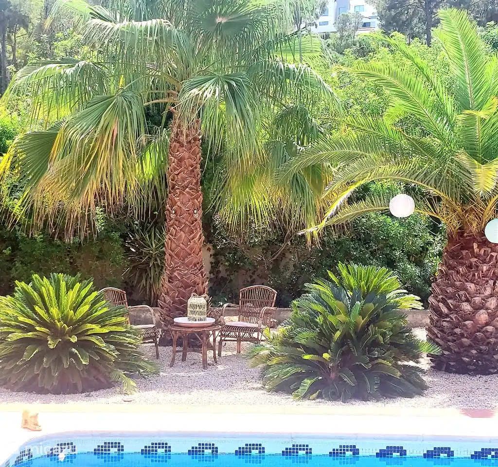 Casa Karolida Top locatie!, foto 4