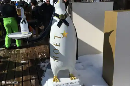 Skier dans les Pyrénées