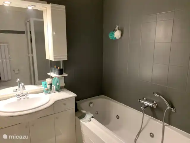 Maison de vacances Château de Barbet 9 | France, Gers, Lombez - bungalow Salle de Bains