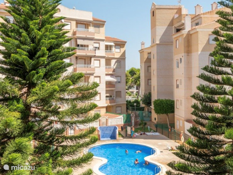 Holiday home in Spain, Costa Blanca, Torrevieja Apartment Casa Elin Torrevieja