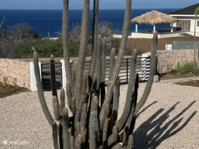 villa huren in Bonaire, Bonaire, Kralendijk – Villa Bonagio Bonaire