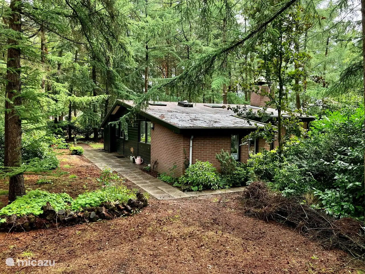 bungalow, Giethmen, Overijssel, Niederlande - Boshuisje de Larch