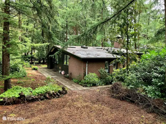 Location de Vacances Pays-Bas, Overijssel, Giethmen, bungalow - Bois de mélèze Location de Vacances Pays-Bas, Overijssel, Giethmen, bungalow - Bois de mélèze