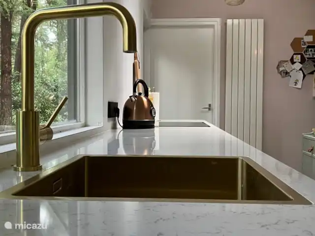 Location de Vacances Pays-Bas, Overijssel, Giethmen, bungalow - Bois de mélèze Nouvelle cuisine (2023)