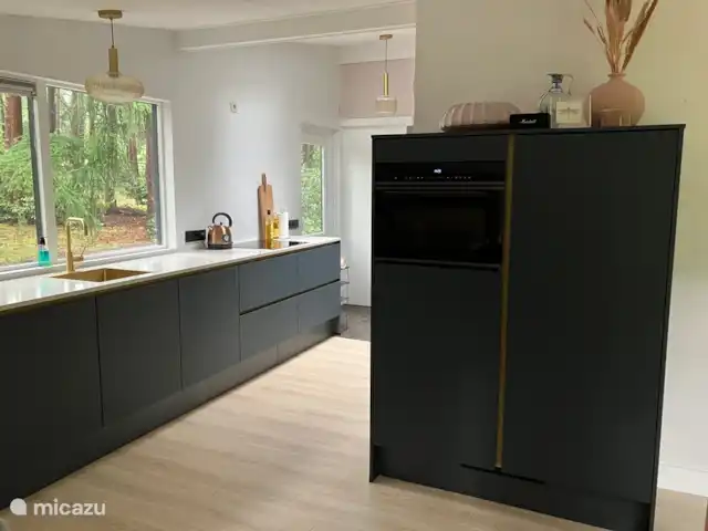 Location de Vacances Pays-Bas, Overijssel, Giethmen, bungalow - Bois de mélèze A droite 2 placards hauts avec à gauche le four mixte et un grand congélateur. Sur la droite un grand réfrigérateur.