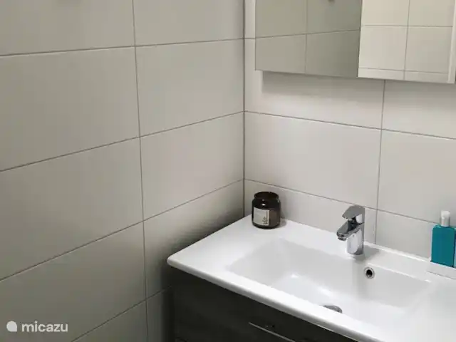 Location de Vacances Pays-Bas, Overijssel, Giethmen, bungalow - Bois de mélèze Salle de bain soignée avec prise au lavabo. Chauffage au sol (chauffage central) et extraction réglable.