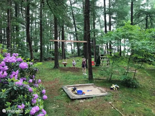 Location de Vacances Pays-Bas, Overijssel, Giethmen, bungalow - Bois de mélèze Assez pour jouer dans le jardin