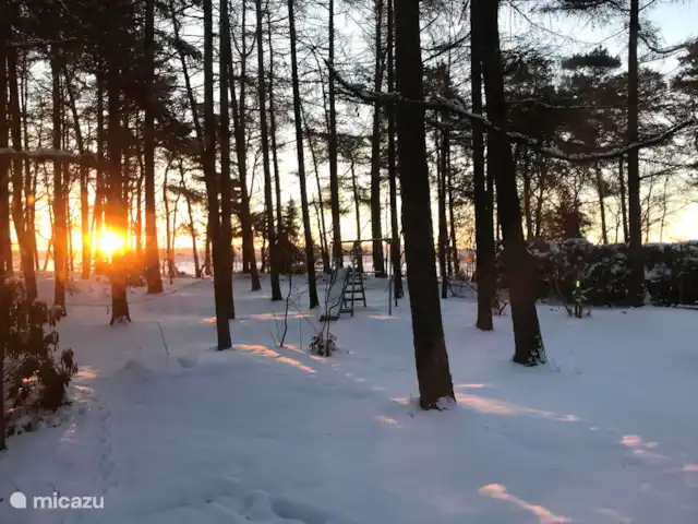 Location de Vacances Pays-Bas, Overijssel, Giethmen, bungalow - Bois de mélèze Le soleil du matin en hiver.