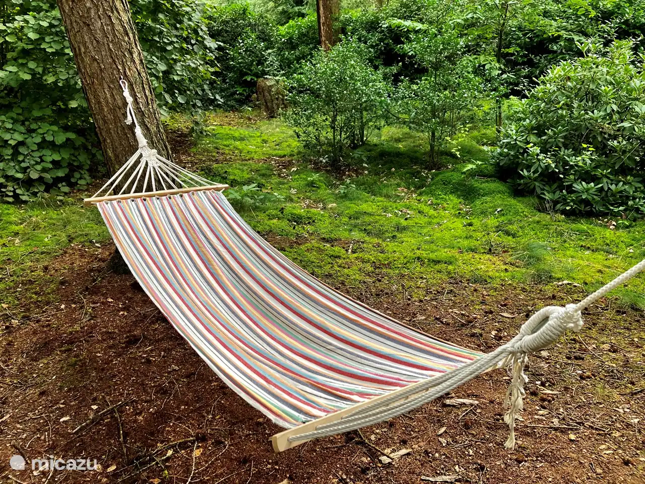 Hängematte zum Entspannen...