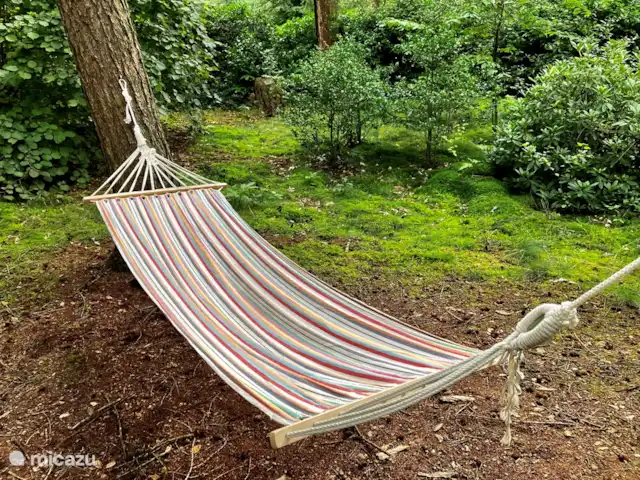 Location de Vacances Pays-Bas, Overijssel, Giethmen, bungalow - Bois de mélèze Hamac pour se prélasser...
