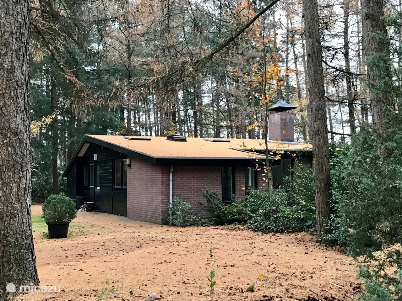 Im Garten stehen etwa 50 Lärchen, die im Herbst ihre Nadeln fallen lassen. Es ist ein hübscher Anblick und spendet im Winter viel Licht. Es gibt auch einige große Douglasien.