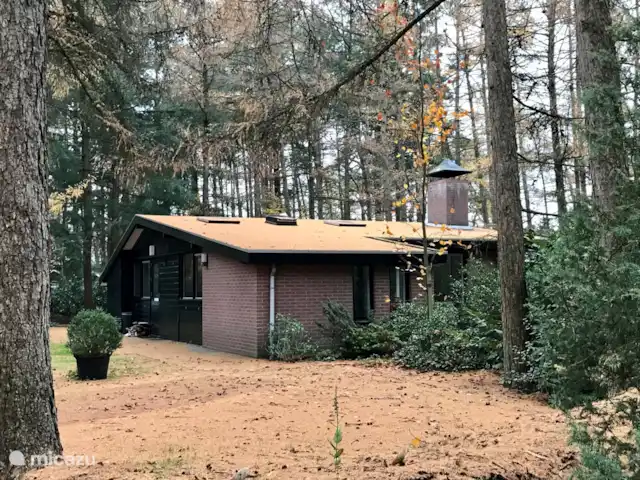 Location de Vacances Pays-Bas, Overijssel, Giethmen, bungalow - Bois de mélèze Dans le jardin, il y a environ 50 mélèzes qui perdent leurs aiguilles à l'automne. C'est une jolie vue, et cela donne beaucoup de lumière en hiver. Il y a aussi quelques grands douglas.
