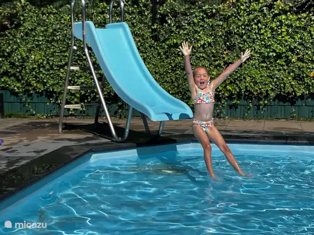 Location de Vacances Pays-Bas, Overijssel, Giethmen, bungalow - Bois de mélèze Profitez de la diapositive!