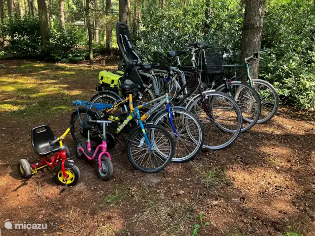 Location de Vacances Pays-Bas, Overijssel, Giethmen, bungalow - Bois de mélèze Les vélos qui peuvent être utilisés. Également avec siège enfant, facile à déplacer entre les vélos pour femmes et pour hommes.