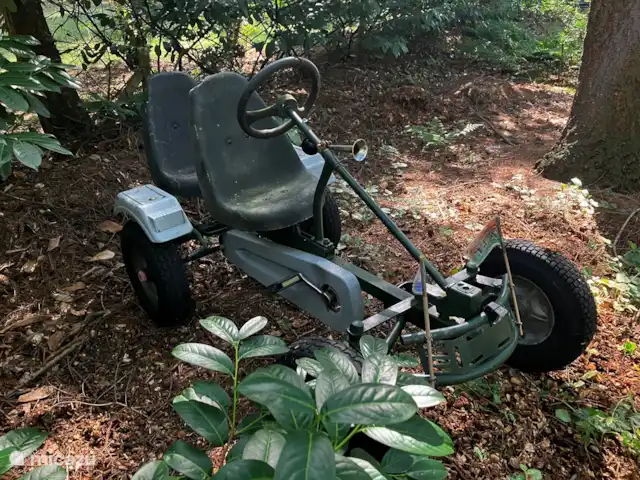 Location de Vacances Pays-Bas, Overijssel, Giethmen, bungalow - Bois de mélèze Le kart