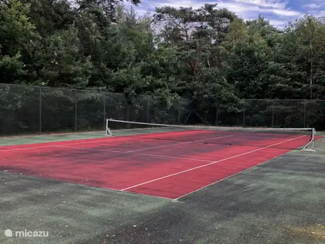 Location de Vacances Pays-Bas, Overijssel, Giethmen, bungalow - Bois de mélèze Un court de tennis par tous les temps