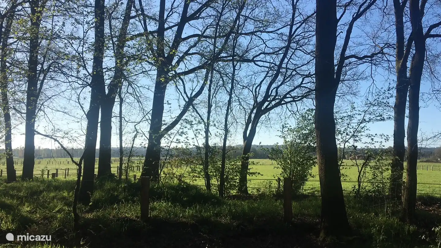 Der Archemerberg und der Lemelerberg, die auch vom Baumhaus aus bewundert werden können. Schnappen Sie sich gerne das Fernglas!