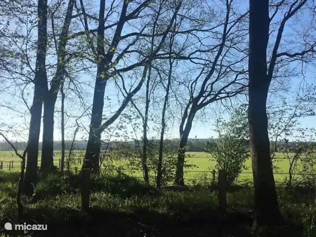 Location de Vacances Pays-Bas, Overijssel, Giethmen, bungalow - Bois de mélèze L'Archemerberg et le Lemelerberg, que l'on peut également admirer depuis la cabane dans les arbres. N'hésitez pas à prendre les jumelles !
