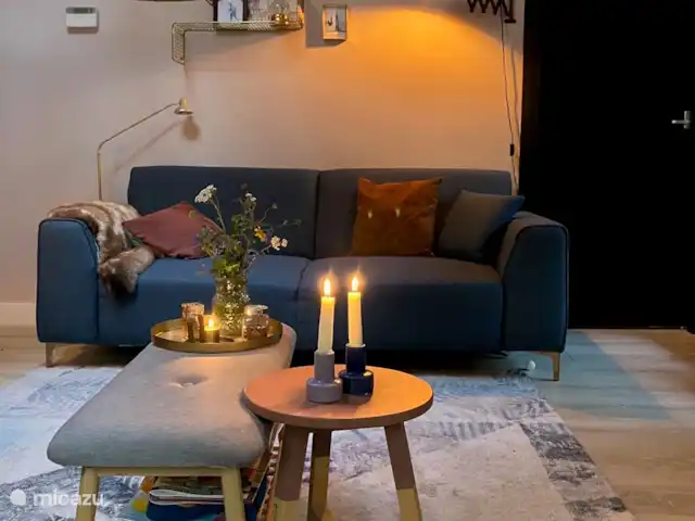 Location de Vacances Pays-Bas, Overijssel, Giethmen, bungalow - Bois de mélèze Canapé spacieux de 3 à 4 places.