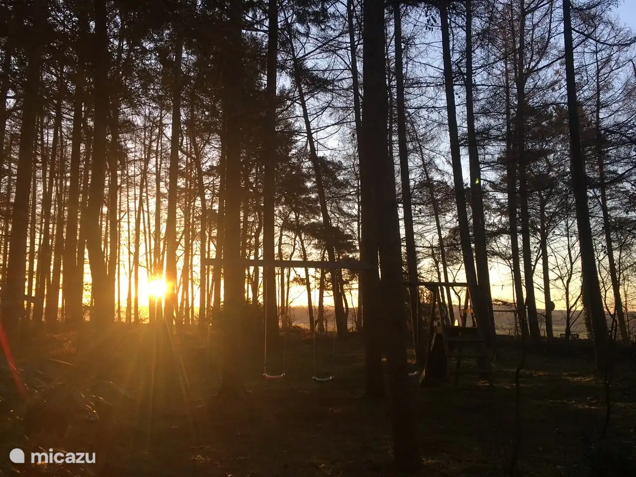 Der Blick mit der Morgensonne in den gigantischen privaten Waldgarten. Vielleicht hören Sie auch einen Bussard oder einen Milan...