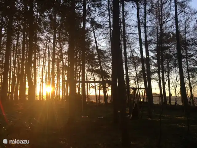Location de Vacances Pays-Bas, Overijssel, Giethmen, bungalow - Bois de mélèze La vue avec le soleil du matin dans le gigantesque jardin forestier privé. Vous pourrez aussi entendre un Buse ou un Cerf-volant...