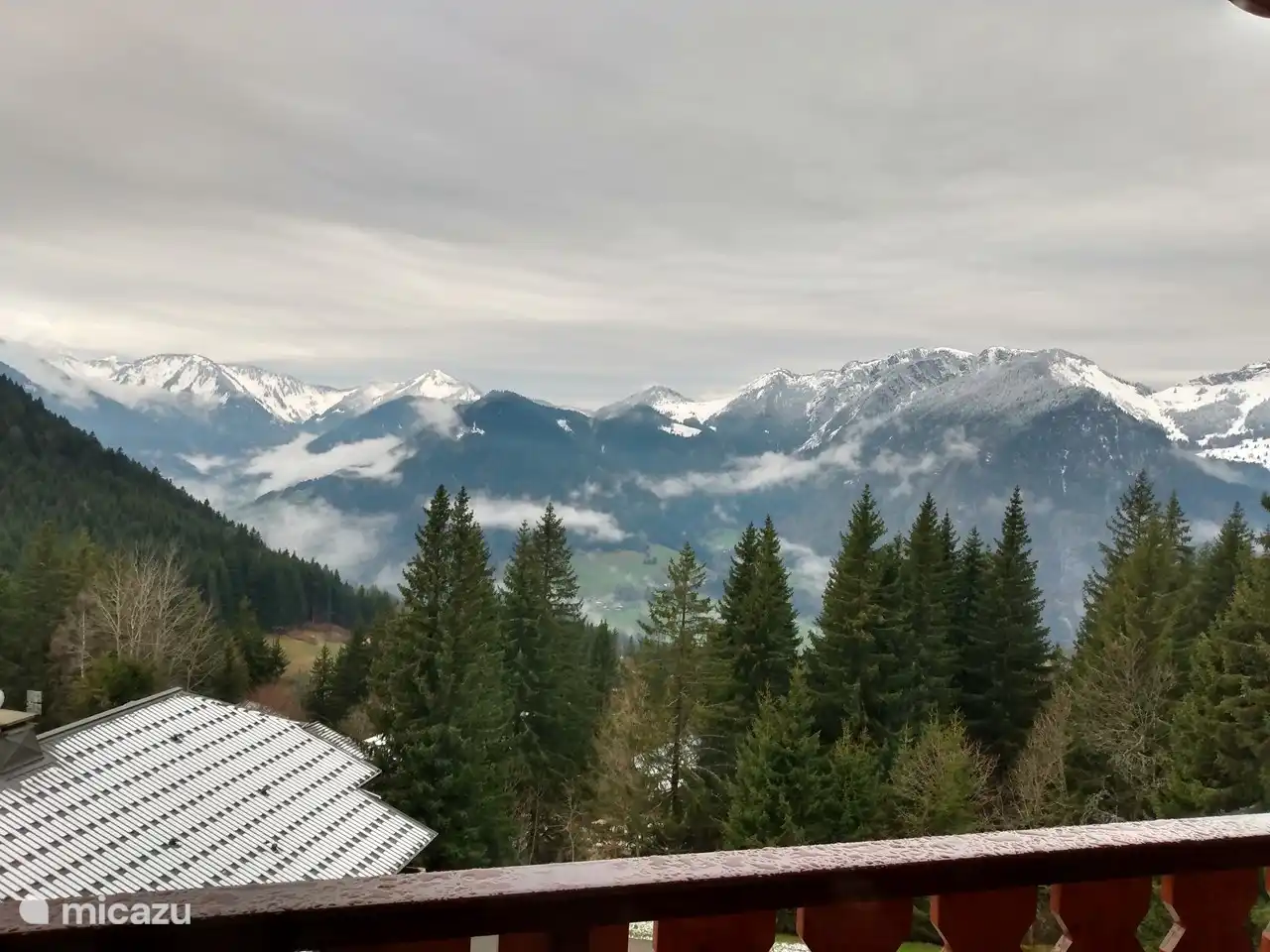 View from balcony in early spring