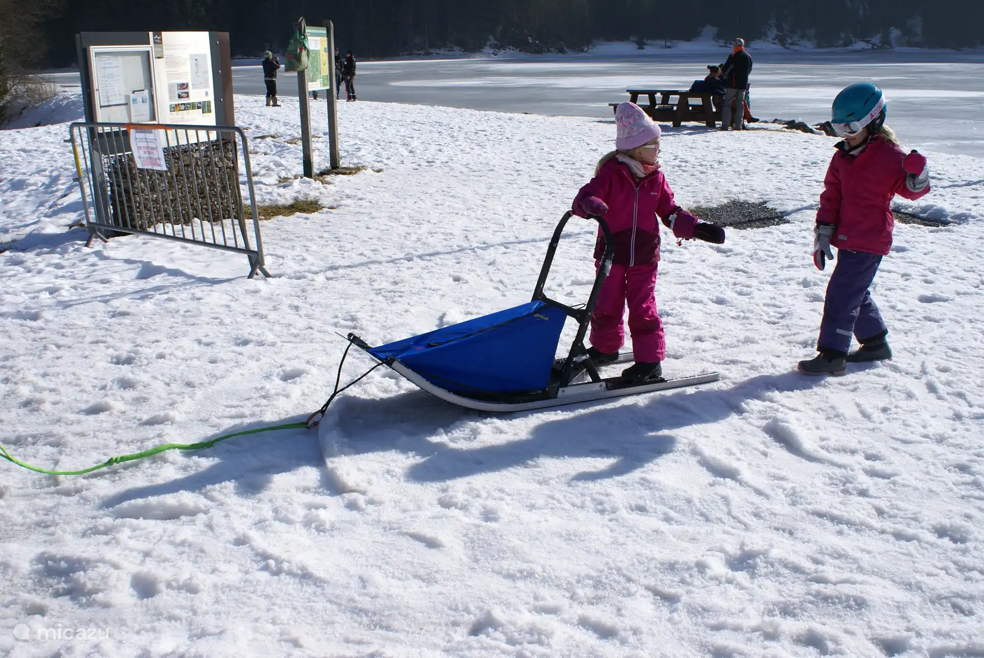 Children learn to sled with dogs
