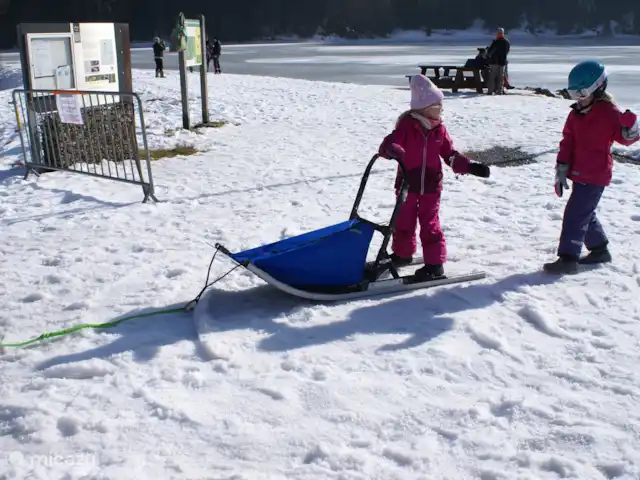 Location de Vacances France, Haute-Savoie, Morzine, appartement - panorama montagneux à couper le souffle Les enfants apprennent à faire du traîneau avec des chiens