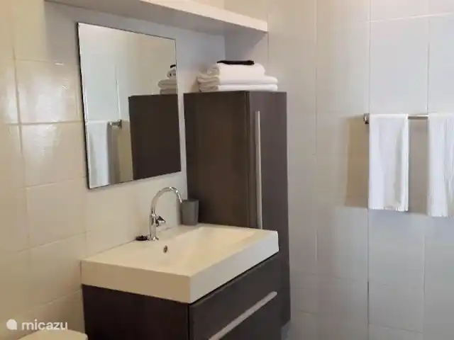 Sylvie Resort - Studio Loft | Curaçao, Banda Ariba (est), Cas Grandi - appartement Belle salle de bain avec WC et douche