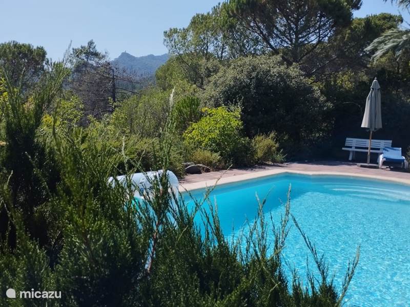 Vakantiehuis Spanje, Costa Brava, Girona Vakantiehuis Can El Pigot: natuur + privézwembad