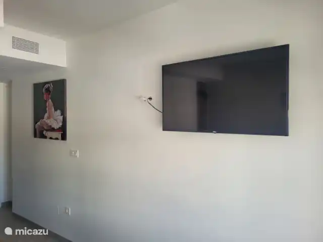 Location de Vacances Espagne, Costa Blanca, San Miguel de Salinas, appartement - Zone Plage Lagon Bleu TV Chambre principale