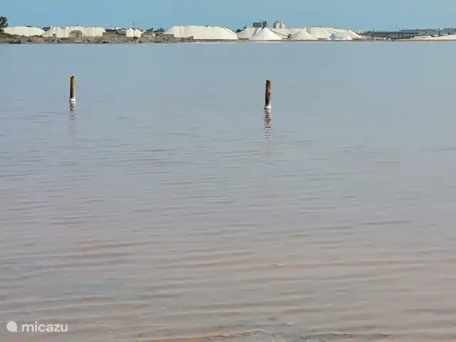 Location de Vacances Espagne, Costa Blanca, San Miguel de Salinas, appartement - Zone Plage Lagon Bleu Lac salé rose près de Torrevieja