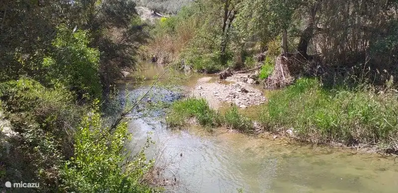 Stream 80 meters away