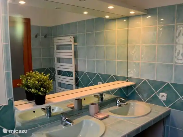 los olivers en Francia, Drôme, Mirabel-aux-Baronnies - villa Baño con plato de ducha y dos lavabos