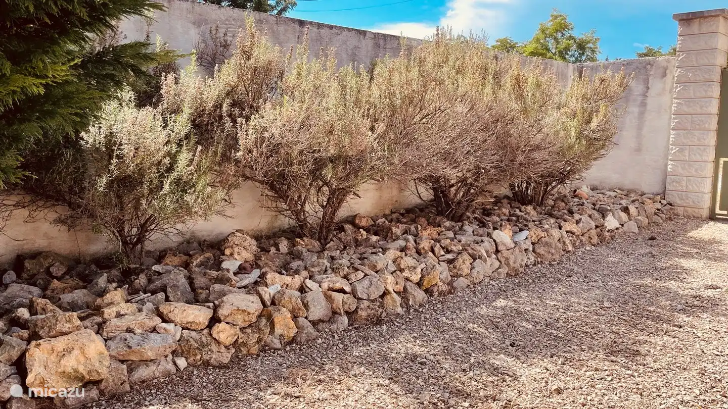 Die Düfte der Provence sind allgegenwärtig...