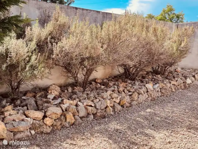 los olivers en Francia, Drôme, Mirabel-aux-Baronnies - villa Los aromas de la Provenza son omnipresentes...